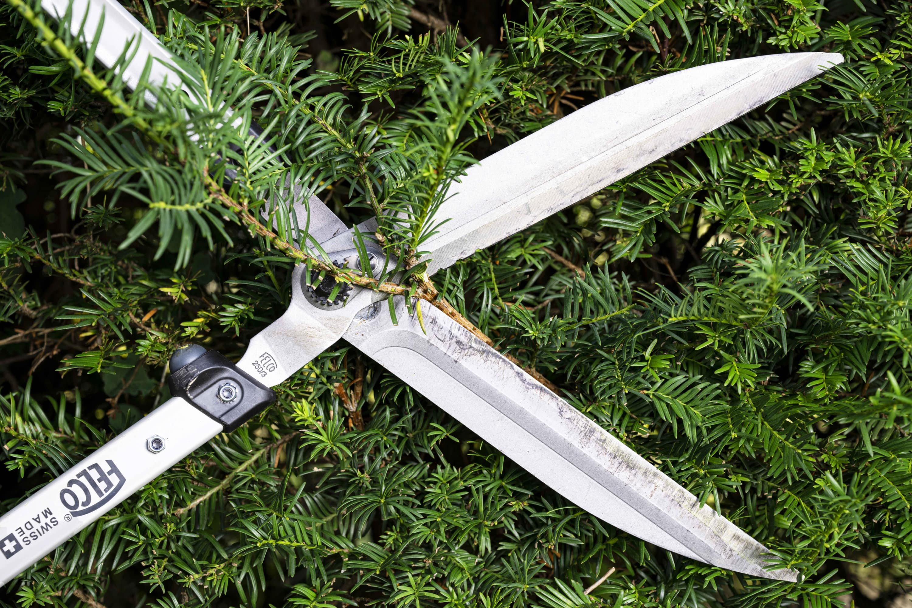 Loppers | FELCO Germany – FELCO EU