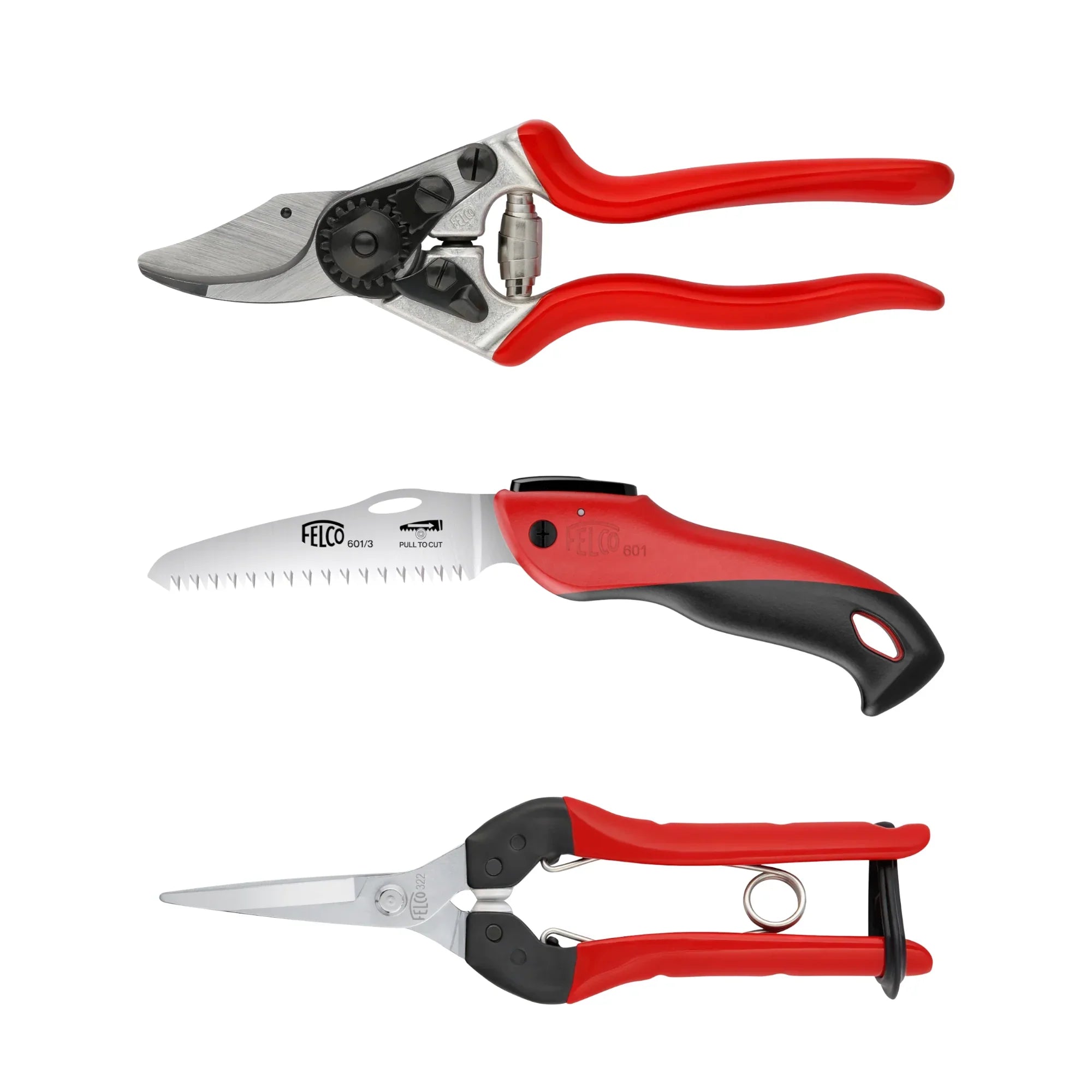 Kit Coupe-Scie-Taille pour Mains de taille moyenne