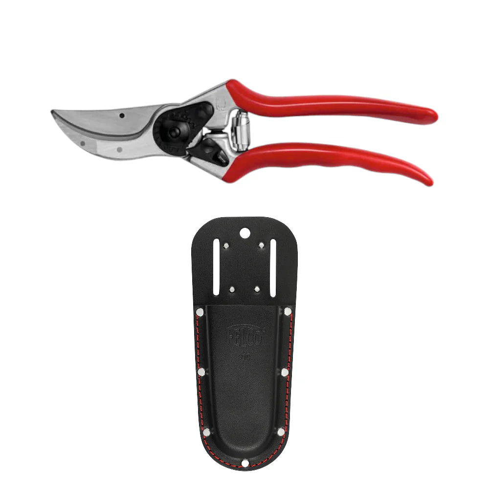 Cutting & Storage Kit for Large Size Hands