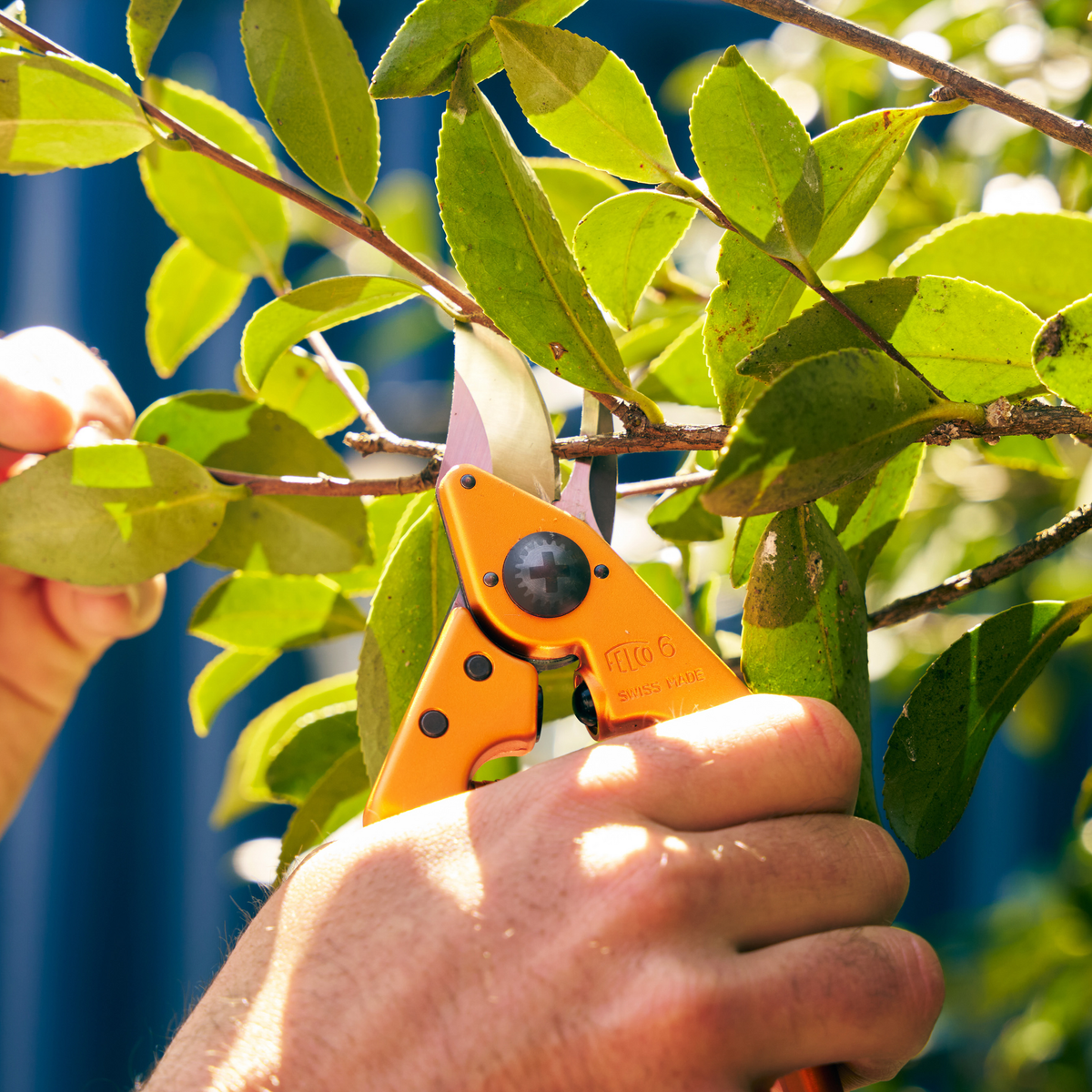 FELCO 6 TANGERINE BLAZE - Lifestyle - In Action