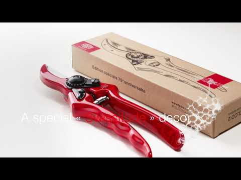 FELCO 2 - Video presentation