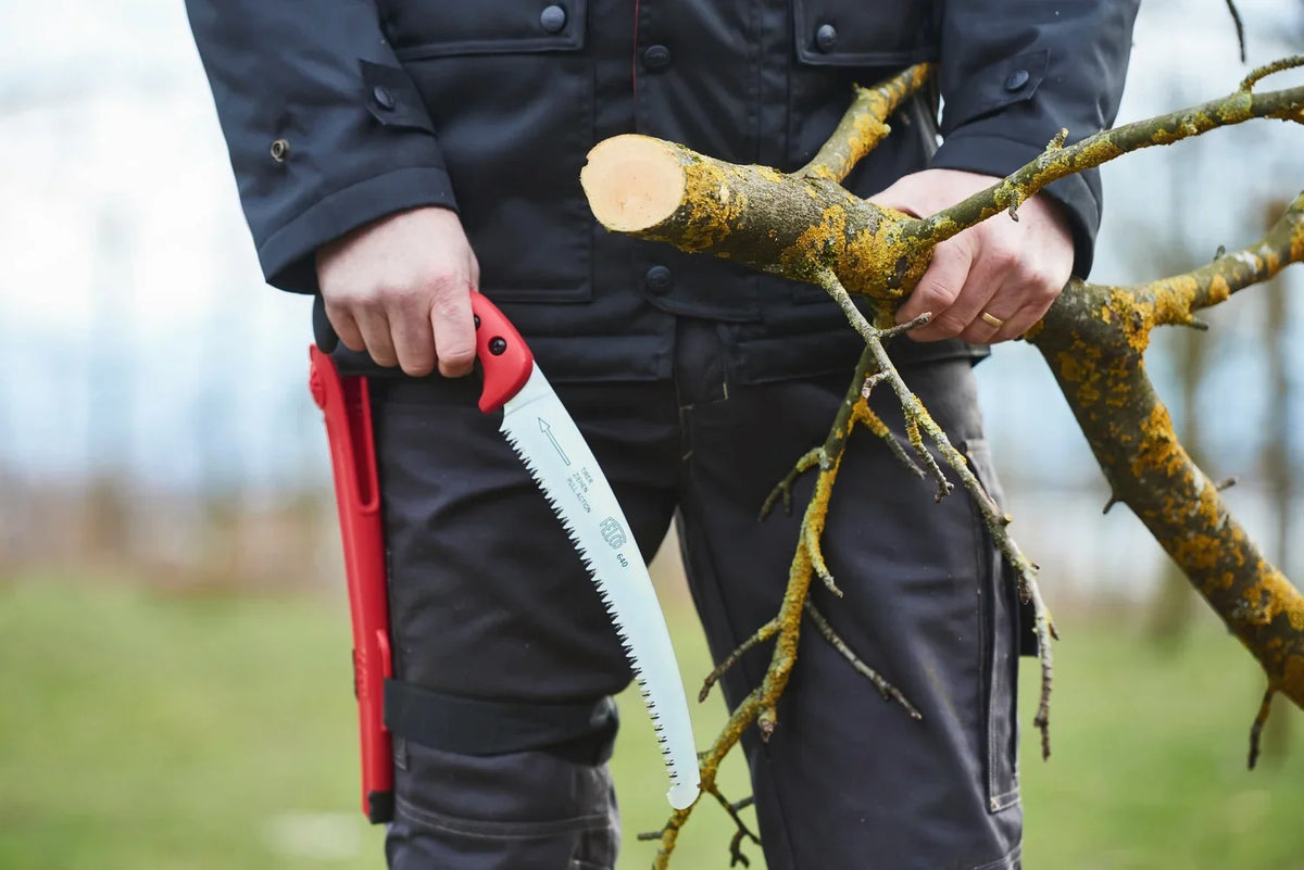 man holding pruning saw and a branch