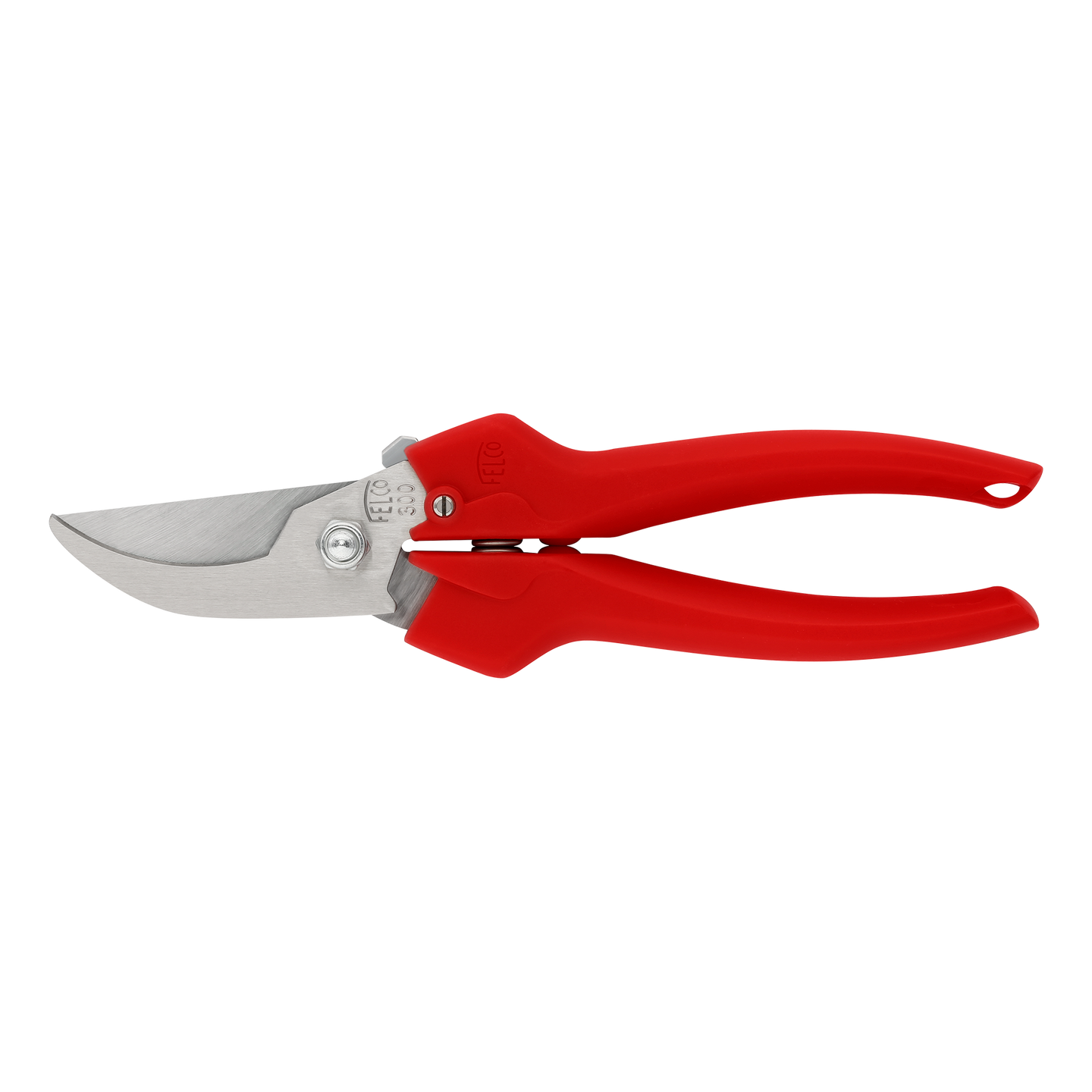 Snips