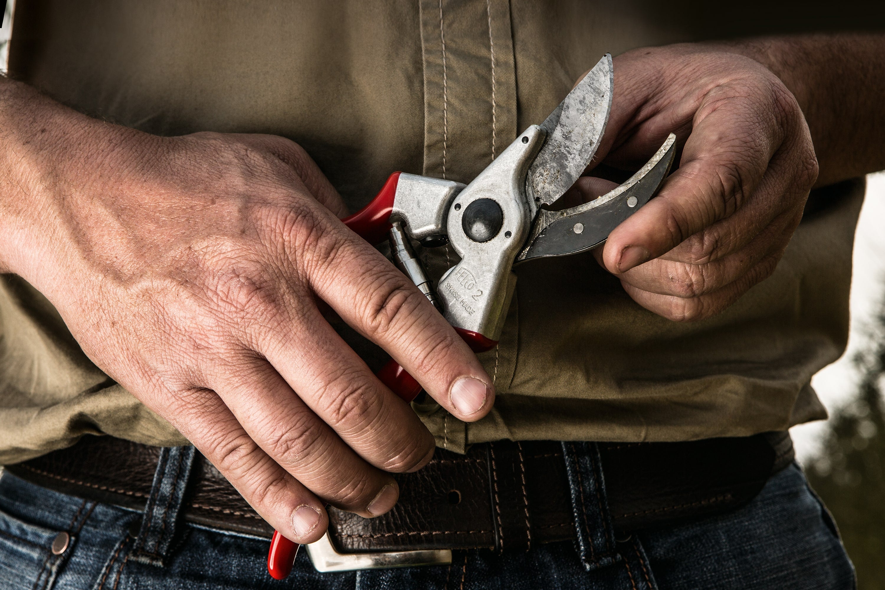 Secateurs