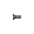 70/55 Screw for toothed segment - Product - Main View