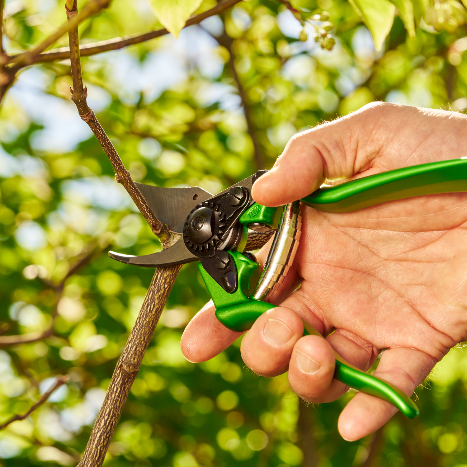 FELCO 6 COLOR EDITION