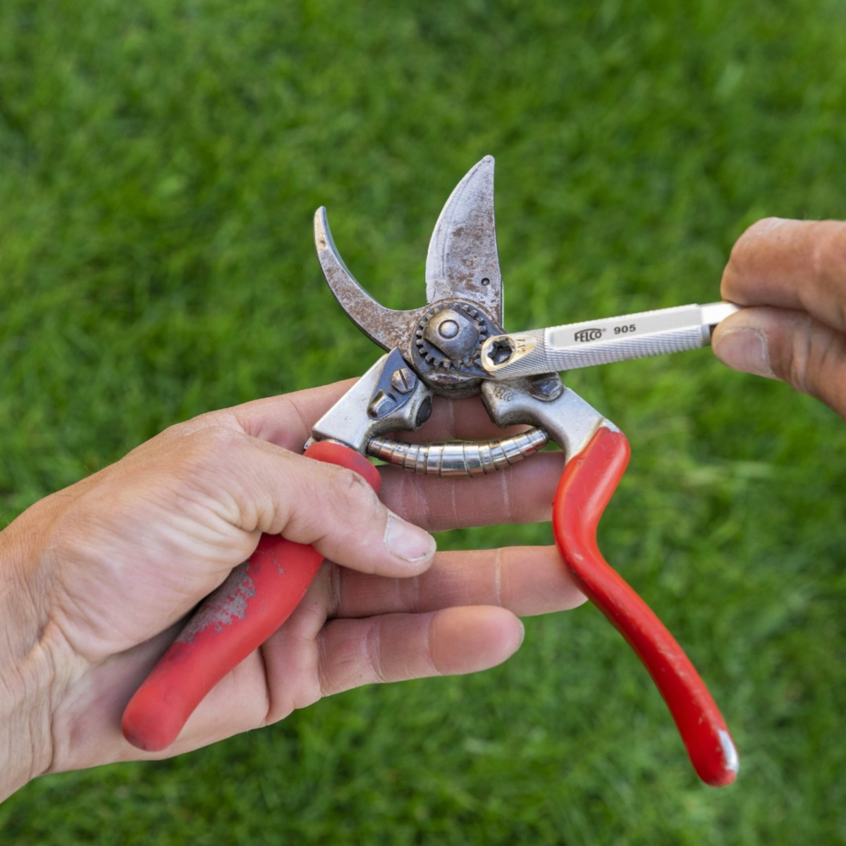 FELCO 905